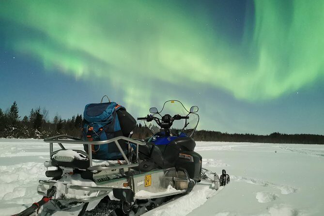 Northern Lights Sledge Ride - Deep Dive: The Real Experience (Based on Reviews)