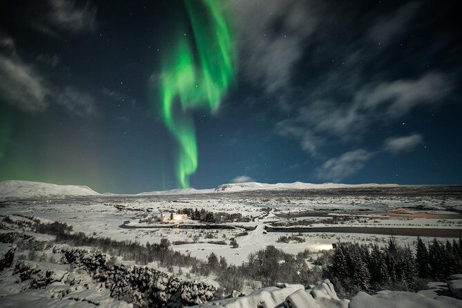 Northern Lights Small-Group Tour From Reykjavik with Hot Drink - Key Points