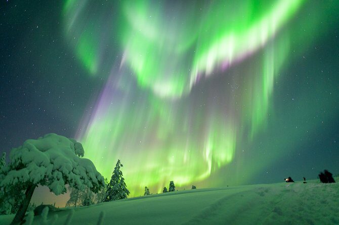 Northern Lights Snowmobile Sleigh Ride - An In-Depth Look at the Tour