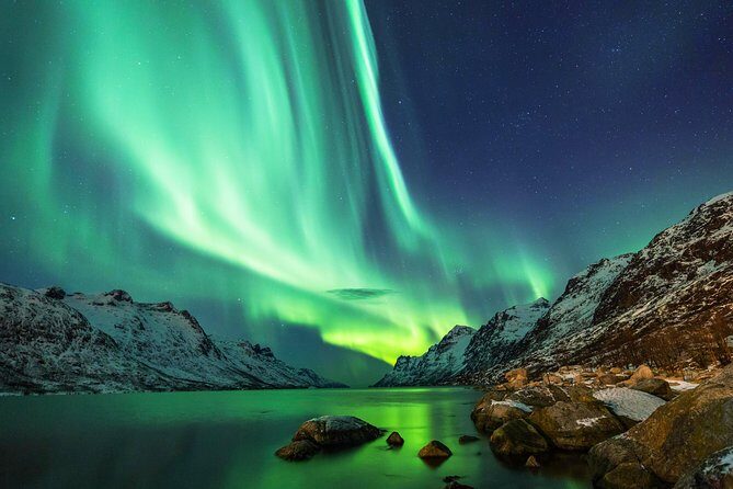 Northern Lights Tour from Reykjavik with Lifetime Guarantee - What Travelers Are Saying
