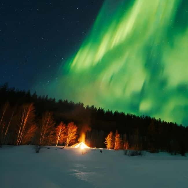 Northern Lights Tour Sleigh Ride - Who Should Consider This Tour?