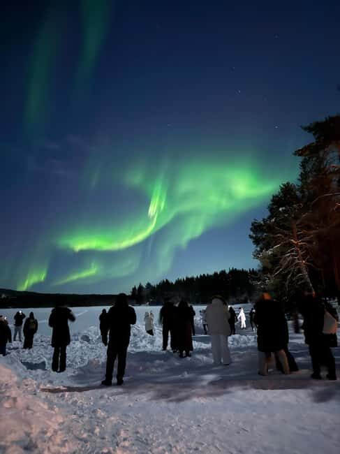 Northern Lights Tour with BBQ and Drinks - Who Is This Tour Best For?