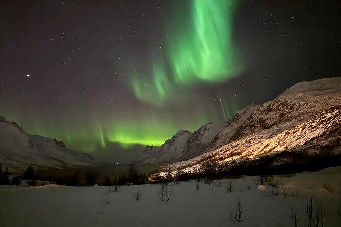 Northern Lights Tour with Hot Food and Drinks in Tromso - What’s Included and What’s Not