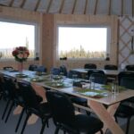 Northern Lights Viewing including Dinner and 1-Hour Dog Sledding - Who Should Consider This Tour?