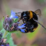 Northumberland: 6 Hour Meet the Makers Food Tour - The Practical Side: Details and Logistics