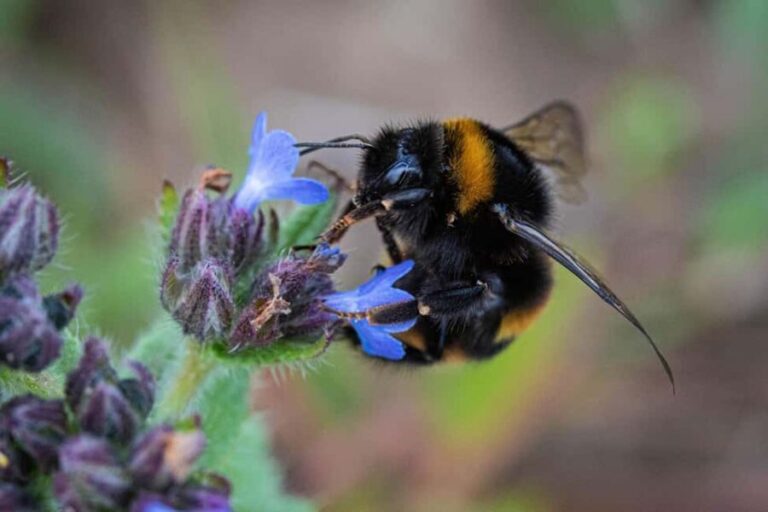Northumberland: 6 Hour Meet the Makers Food Tour - The Practical Side: Details and Logistics