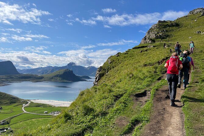 Norway Lofoten Private Shore Excursion from Leknes - Authentic Feedback from Travelers