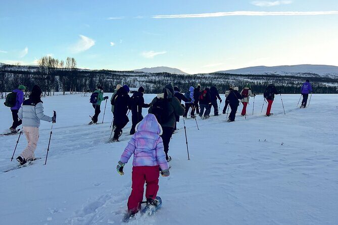Norway Troms Snowshoe Activity with Guided Tour - Transportation and Equipment