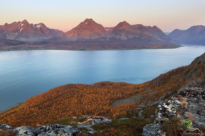 Norwegian Fjords Tour, Including Professional Photos in Tromso - What the Reviews Say