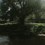 Norwegian nature and food experience - Authentic Perspectives from Past Participants