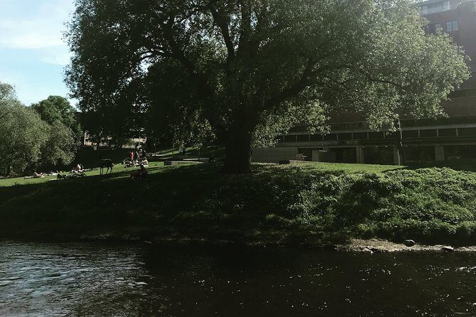 Norwegian nature and food experience - Authentic Perspectives from Past Participants