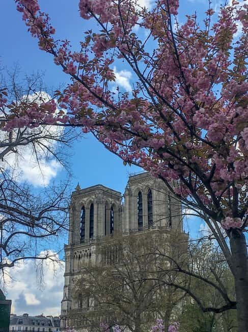 Notre Dame Ile De La Cité Walking Tour & Seine River Cruise - The Scenic Seine Cruise