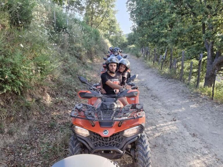 Novara di Sicilia: Quad excursions - Reviews and Real Traveler Feedback