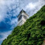 Novi Sad: City Tour with Petrovaradin Fortress - Practical Details & What to Bring