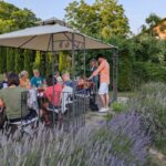 Novi Sad: Fruka Gora Wine Tasting with Local Bites - Deep Dive Into the Wines and Pairings