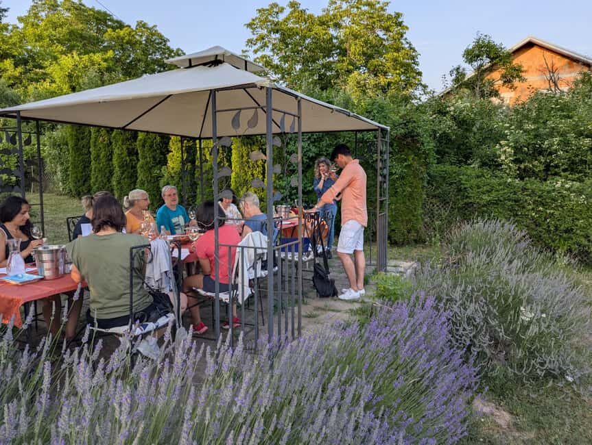 Novi Sad: Fruka Gora Wine Tasting with Local Bites - Deep Dive Into the Wines and Pairings