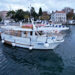 NP Brijuni Island Swimming & Dolphin Watching Sunset Cruise - Who Would Enjoy This Tour?