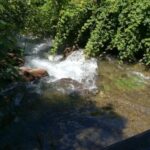 NP Krka walking tour- undicovered beauty - Starting Point and Transportation
