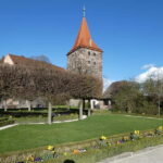 Nuremberg: Free Walking Tour - The Cultural Side of Nuremberg