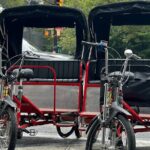 NYC Central Park Pedicab Tours - Who’s This Tour Best For?