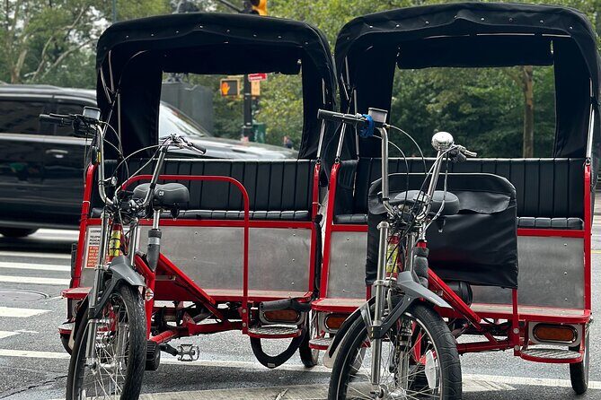 NYC Central Park Pedicab Tours - Who’s This Tour Best For?
