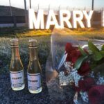 NYC Helicopter Proposal Tour with Photos and Champagne - Analyzing the Value