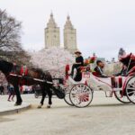 NYC Horse Carriage Ride in Central Park (50 Min. Up to 4 Adults) - Who Is This Tour Best For?
