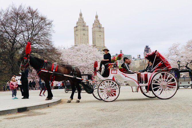 NYC Horse Carriage Ride in Central Park (50 Min. Up to 4 Adults) - Who Is This Tour Best For?