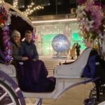 NYC Rockefeller Center Christmas Lights Horse Carriage Ride - Is It Worth It?