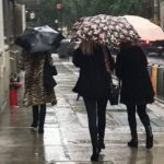 NYC Small Group Secondhand Personal Shopping Day - Curated Shopping in Chelsea and Williamsburg