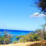 Oahu: All Day Circle Island Tour with Snorkeling - Transportation, Duration, and Value