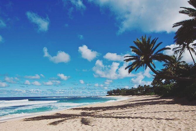 Oahu Circle Island: Snorkel with Turtles & Explore Turtle Beach - What the Reviews Say: Authentic and Enjoyable