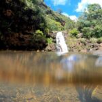 Oahu Custom Private Circle Island and Mini Circle Island Tours - What Past Travelers Say