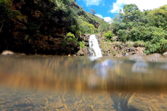 Oahu Custom Private Circle Island and Mini Circle Island Tours - What Past Travelers Say