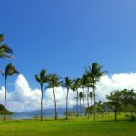 Oahu Highlights Private Guided Tour: Landmarks & Architecture - The Experience: What You Can Expect