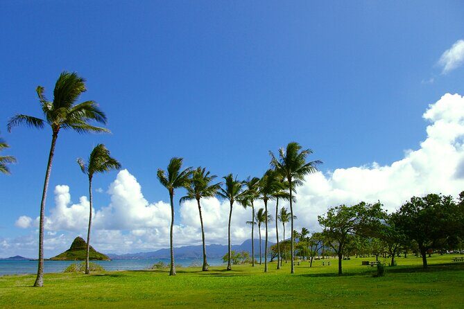 Oahu Highlights Private Guided Tour: Landmarks & Architecture - The Experience: What You Can Expect