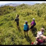 Oahu Volcanic Rainforest Hiking Adventure - The Guides: The Heart of the Tour