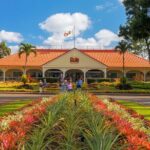 Oahu's Ultimate Grand Circle Island Tour with Snorkeling and More - The Value of the Tour