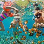 Oahu's Ultimate Tour: Dole, Turtle Snorkel, Pali Lookout & More - Practical Considerations