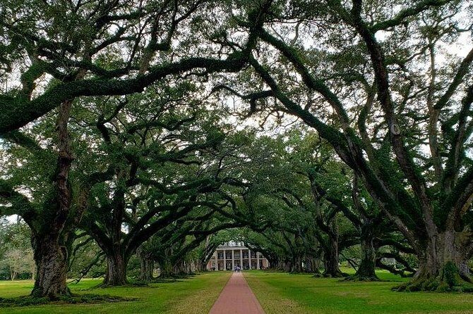 Oak Alley or Laura Plantation Tour from New Orleans - Who Is This Tour Best For?