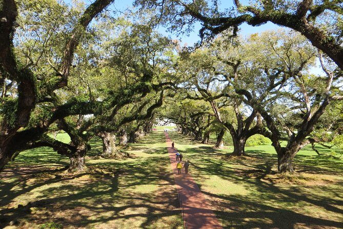Oak Alley Plantation Half-Day Tour from New Orleans - The Sum Up