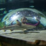 Oberhausen: SEA LIFE Oberhausen Entry Ticket - Is It Worth the Price?