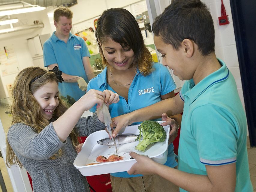 Oberhausen: SEA LIFE Ticket and Behind the Scenes Tour - Who Is This Tour Best Suited For?