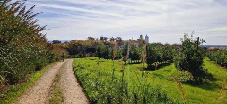Óbidos: E-Bike Tour to Quinta do Gradil with Wine Tasting - The Scenic Trail: Rural Beauty and Breathtaking Views