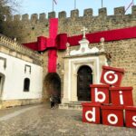 Óbidos (Medieval Town): Half-Day Private Tour from Lisbon - What is the Experience Really Like?