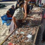 Obidos, Nazare, Full-Day Private Tour - Frequently Asked Questions