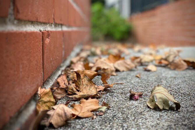 OBX Ghost Tours - Final Thoughts