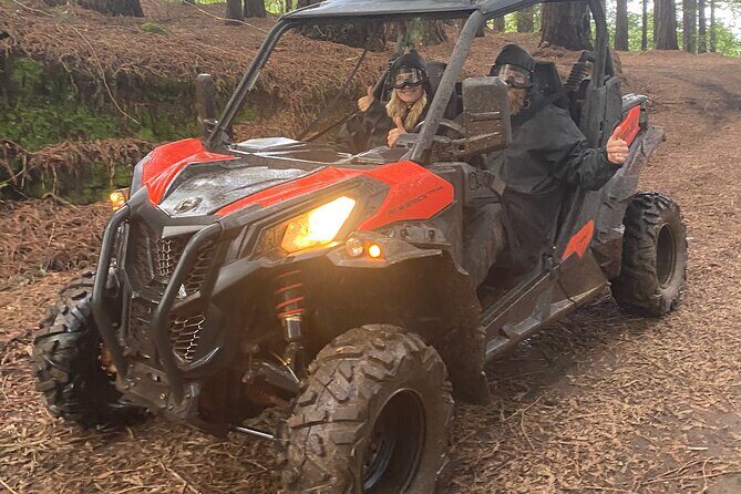 Off-Road Buggy Driving Experience - Deep Dive into the Trail and Scenic Highlights