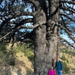 Off-Road & Hiking Adventure from Korçë to Valamara - What the Experience Means for You