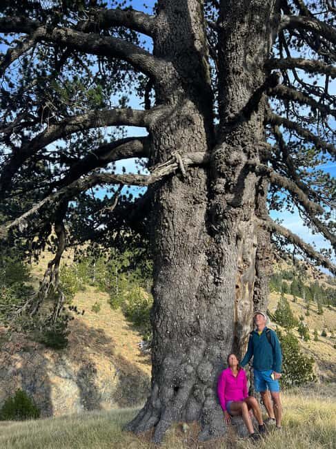 Off-Road & Hiking Adventure from Korçë to Valamara - What the Experience Means for You